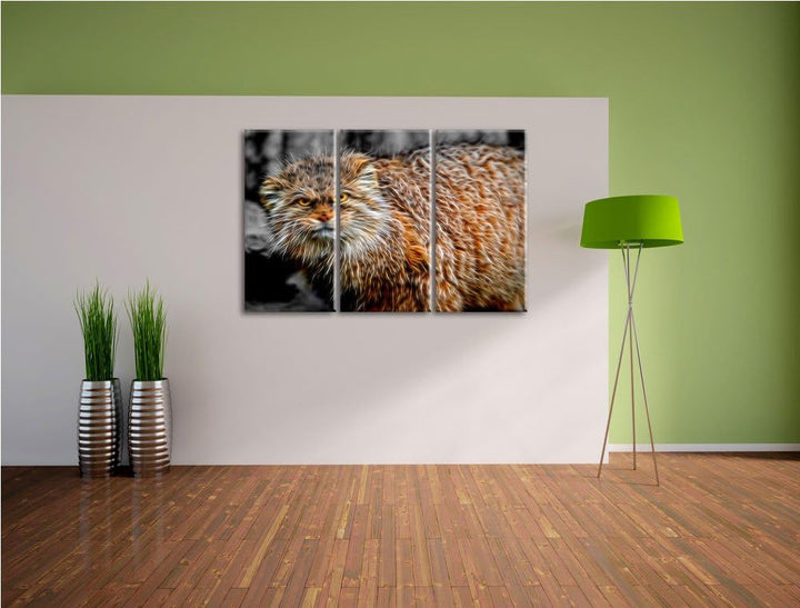 gereizte kleine Manul schwarz/weiss Deluxe 3-Teiler Leinwandbild 120x80 Bild auf Leinwand, XXL riesi