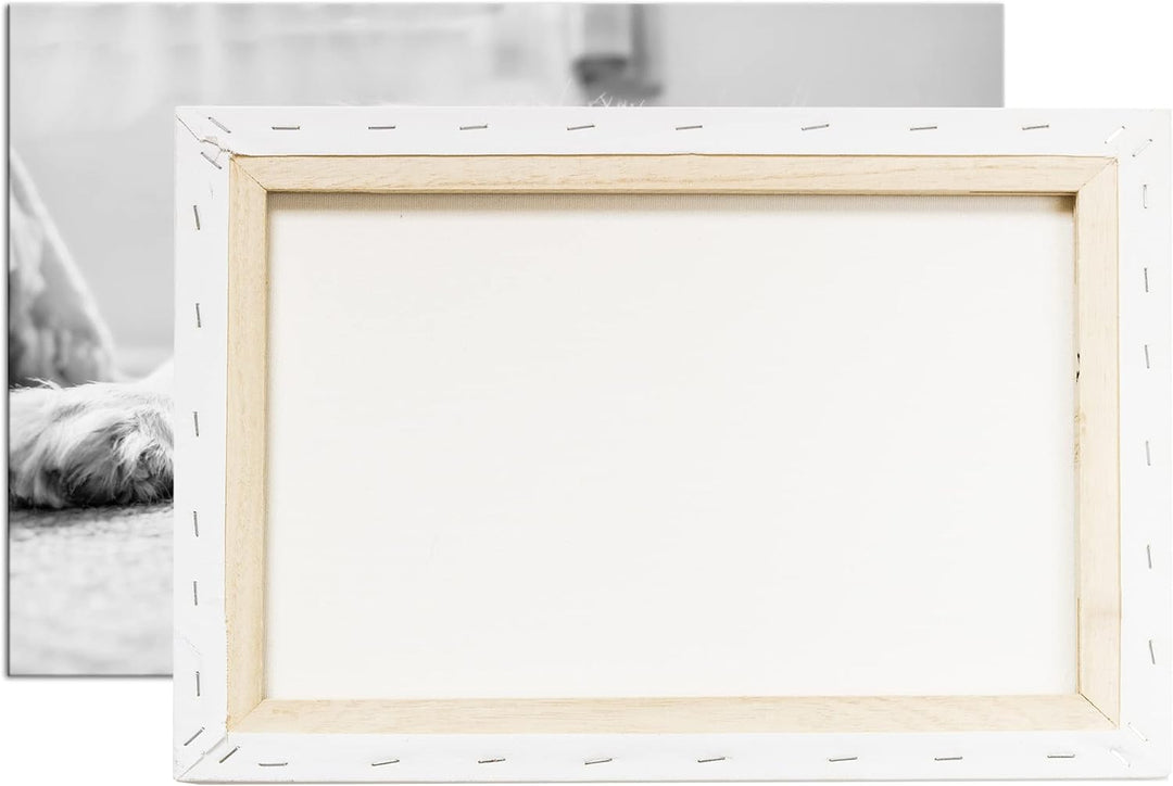 deyoli zauberhafter Cocker Spaniel Effekt: Schwarz&Weiss Format: 100x70 als Leinwandbild, Motiv fert