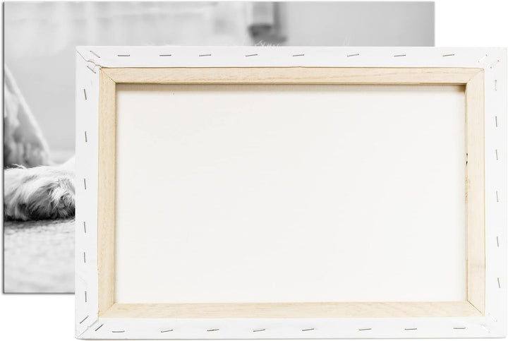 deyoli zauberhafter Cocker Spaniel Effekt: Schwarz&Weiss Format: 100x70 als Leinwandbild, Motiv fert