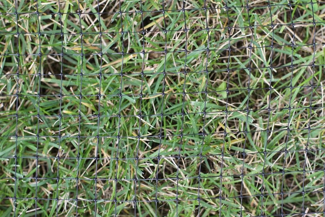 MAULWURFNETZ 2m x 50m Maulwurfbekämpfung Maulwurfsperre für Rasen-Rollrasen