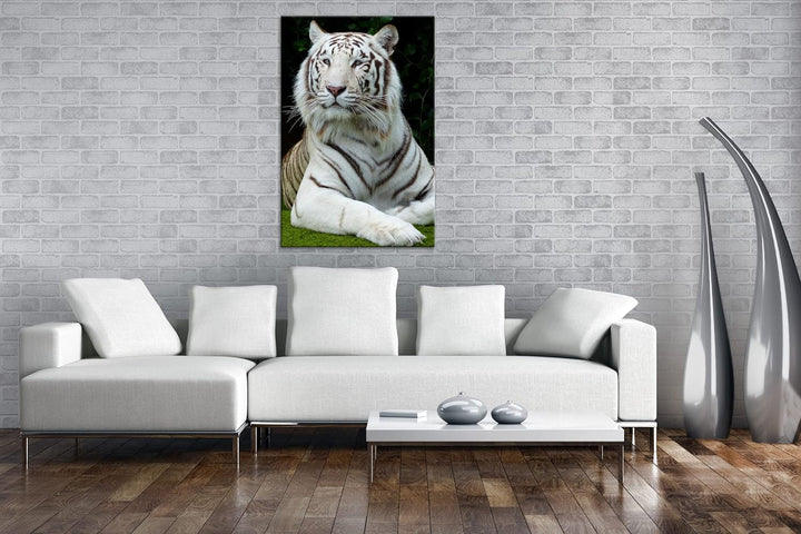 deyoli majestätischer Tiger im Format: 80x60 als Leinwandbild, Motiv fertig gerahmt auf Echtholzrahm