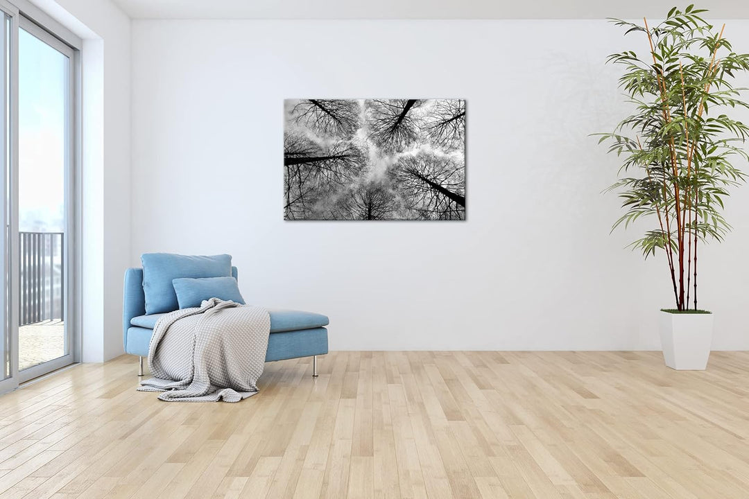 deyoli riessige Baumkronen im Herbst Format: 80x60 als Leinwand, Effekt: Schwarz&Weiss, Motiv fertig