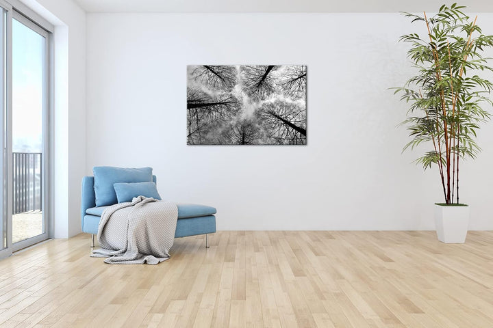 deyoli riessige Baumkronen im Herbst Format: 80x60 als Leinwand, Effekt: Schwarz&Weiss, Motiv fertig