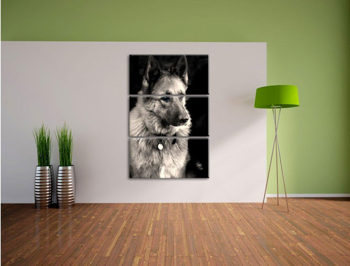 Pixxprint Zwei Hunde auf dem Teppich als Leinwandbild/Grösse: 3 Teilig (120x80 cm) cm/Wandbild/Kunst