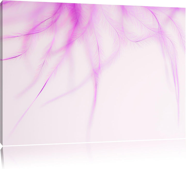 Pixxprint zarte Pinke Federn auf Leinwand, XXL riesige Bilder fertig gerahmt mit Keilrahmen, Kunstdr