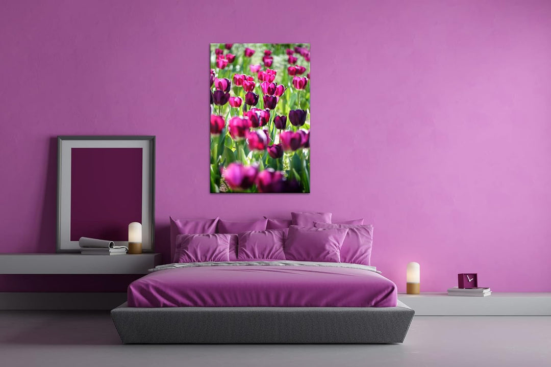 deyoli violette Tulpen Format: 80x60 als Leinwand, Motiv fertig gerahmt auf Echtholzrahmen, Hochwert