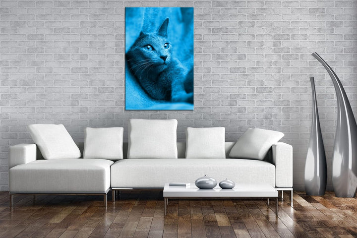 deyoli süsse Katze mit Grünen Augen Format 80x60 Effekt: Monocrome Blau als Leinwandbild, Motiv fert
