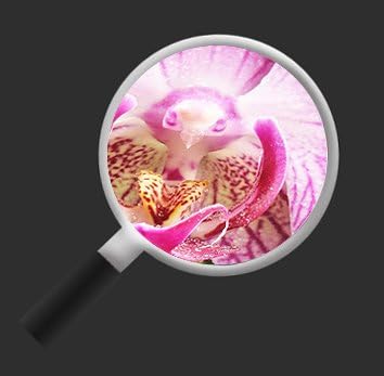 islandburner Bild Bilder auf Leinwand Calmness Orchideen MF XXL Poster Leinwandbild Wandbild Dekoart