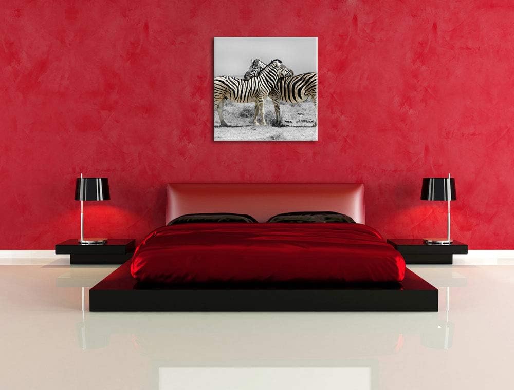 Pixxprint Zebras in der Savanne als Leinwandbild Quadratisch/Grösse: 70x70 / Wandbild/Kunstdruck/fer