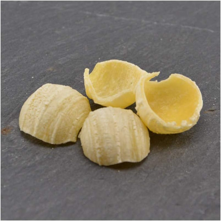 Pastidea - Matrize Orecchiette mittlere Grösse kompatibel mit Kenwood Pasta Fresca oder mit Adapter