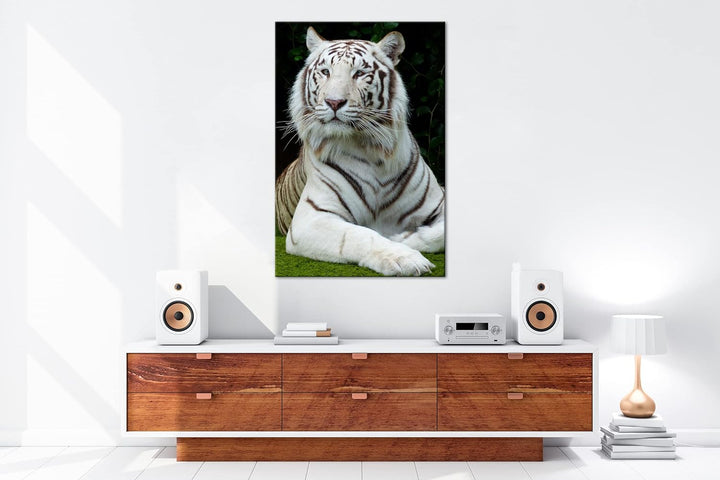 deyoli majestätischer Tiger im Format: 80x60 als Leinwandbild, Motiv fertig gerahmt auf Echtholzrahm