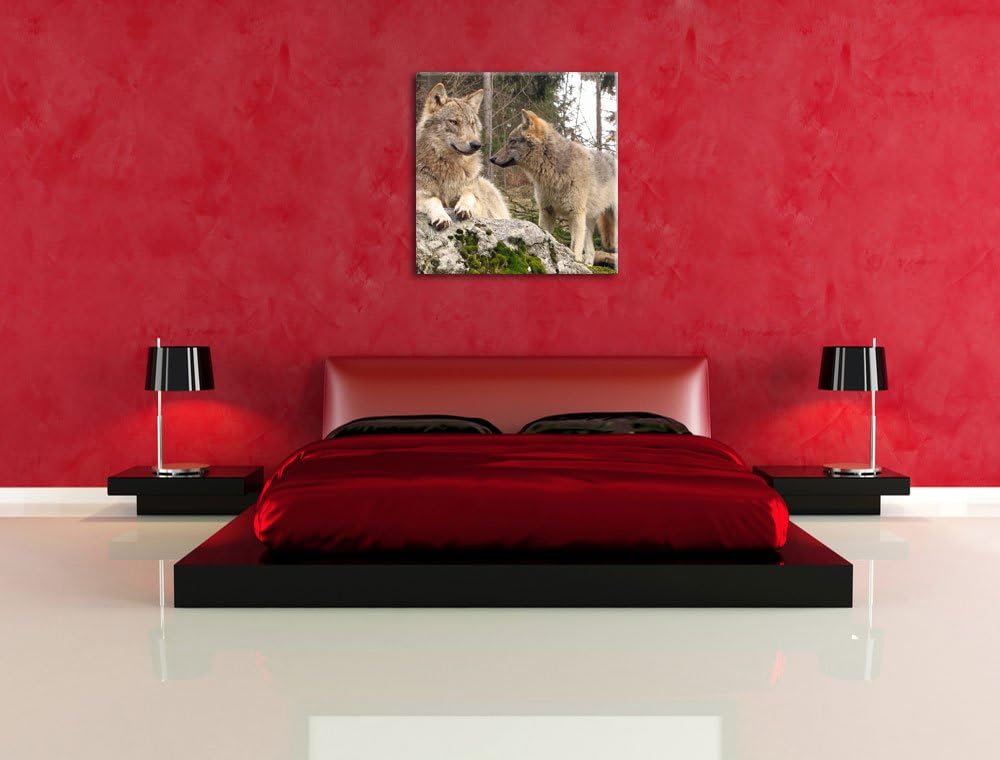 Pixxprint Wölfe im Wald, Format: 70x70 auf Leinwand, XXL riesige Bilder fertig gerahmt mit Keilrahme