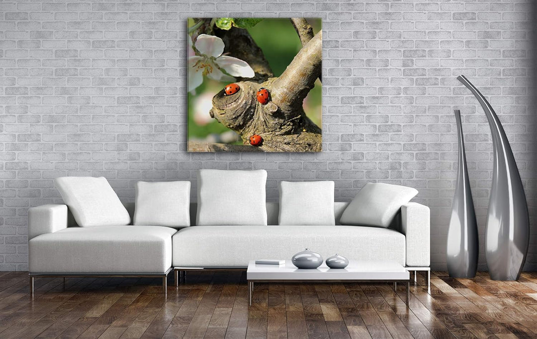 deyoli niedliche kleine Marienkäfer Format: 70x70 als Leinwandbild, Motiv fertig gerahmt auf Echthol