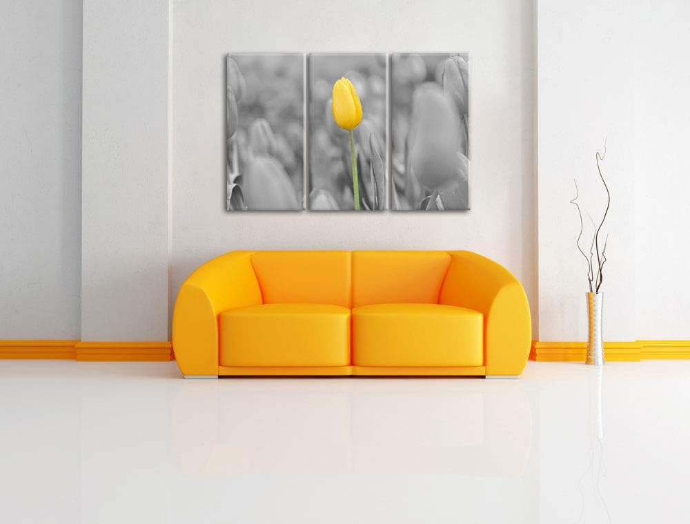 Gelbes Tulpenmeer schwarz/weiss 3-Teiler Leinwandbild 120x80 Bild auf Leinwand, XXL riesige Bilder f