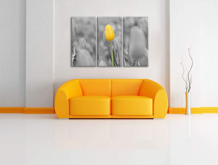 Gelbes Tulpenmeer schwarz/weiss 3-Teiler Leinwandbild 120x80 Bild auf Leinwand, XXL riesige Bilder f