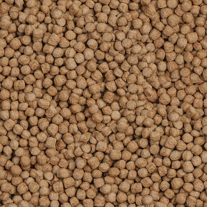 sera 07123 Koi Royal Nature Medium (4 mm) 21 Liter - Hauptfutter BZW. Koifutter für EIN ausgewogenes