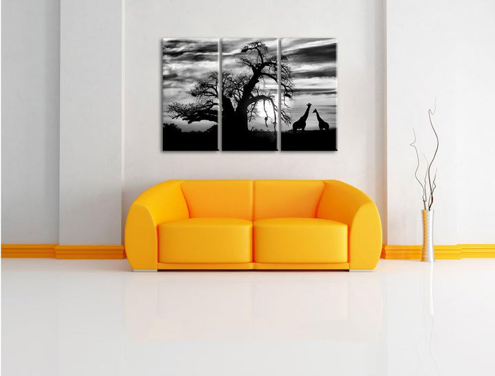 Pixxprint Zwei Giraffen in der Wüste als Leinwandbild/Grösse: 3 Teilig (120x80) cm/Wandbild/Kunstdru