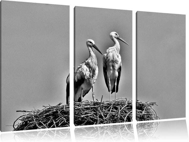 Pixxprint Zwei stolze Störche im Nest als Leinwandbild/Grösse: 3 Teilig (120x80) cm/Wandbild/Kunstdr