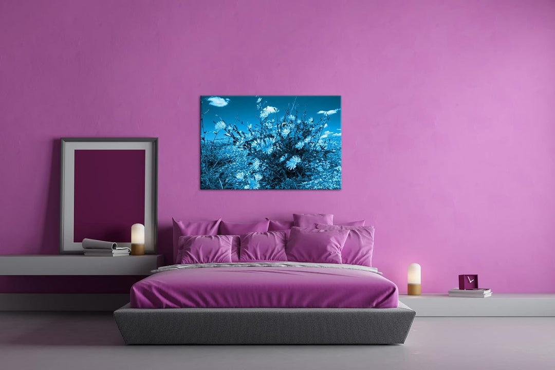 deyoli Kornblumen im Frühling Format 80x60 Effekt: Monocrome Blau als Leinwandbild, Motiv fertig ger