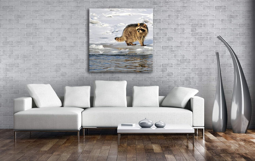 deyoli Niedlicher wachsamer Waschbär Format: 60x60 als Leinwandbild, Motiv fertig gerahmt auf Echtho