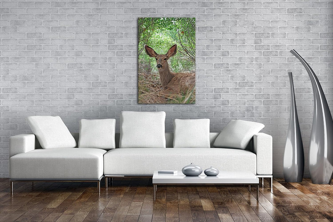 deyoli ruhiges Reh im Wald Format: 80x60 als Leinwand, Motiv fertig gerahmt auf Echtholzrahmen, Hoch
