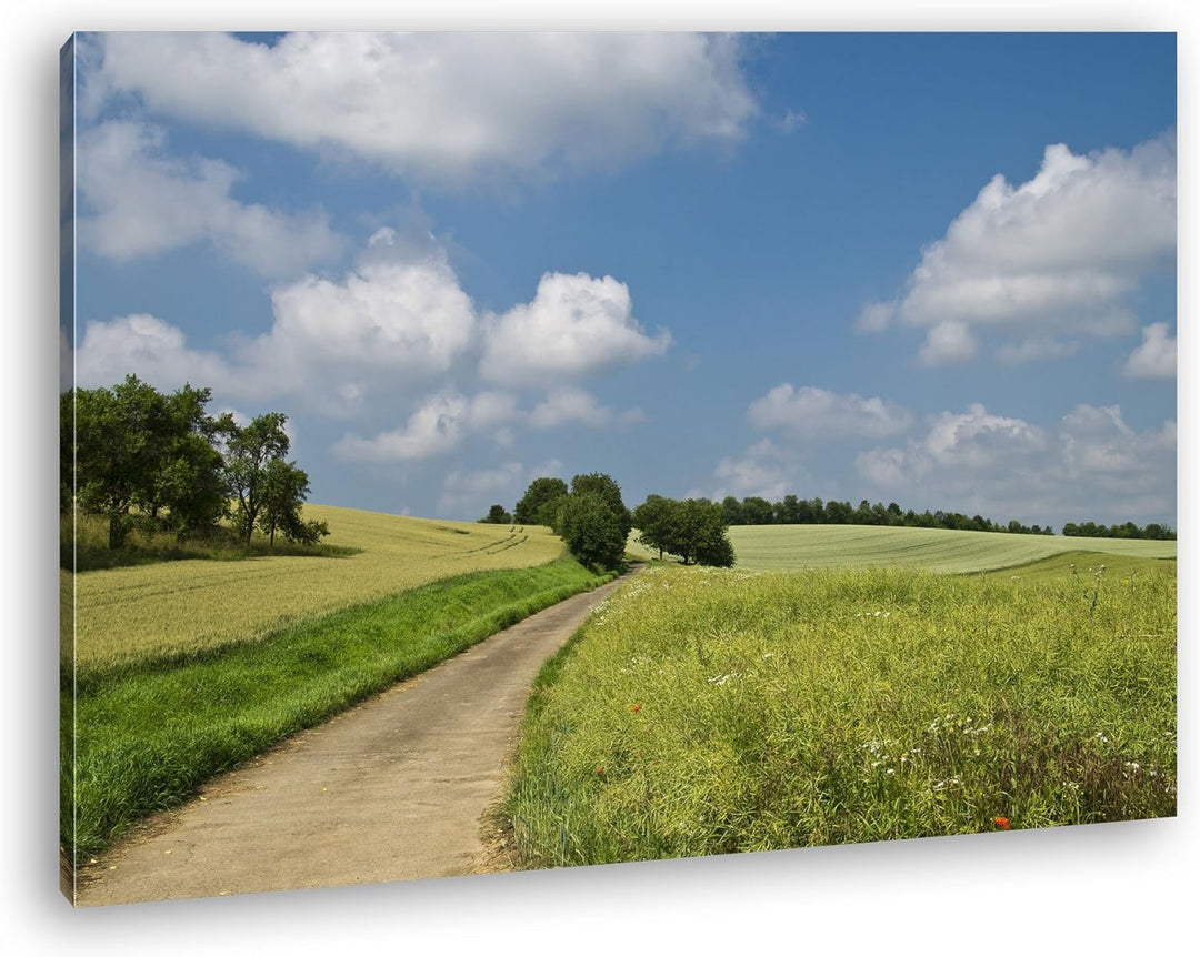deyoli Feldweg im Sommer Format: 80x60 als Leinwandbild, Motiv fertig gerahmt auf Echtholzrahmen, Ho