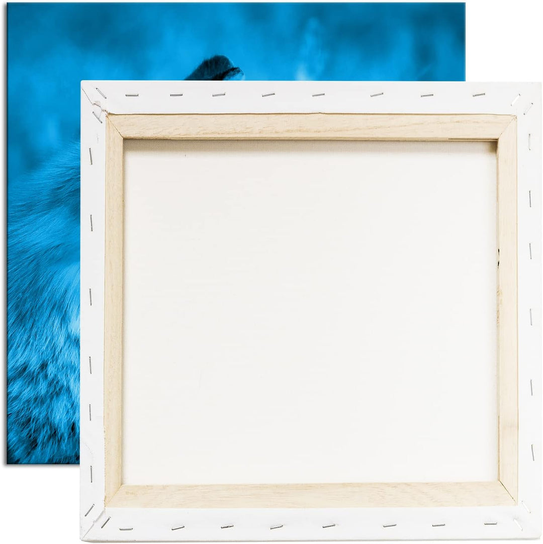 deyoli Kleiner Fuchs im Getreidefeld Format: 70x70 Effekt: Monocrome Blau als Leinwandbild, Motiv fe