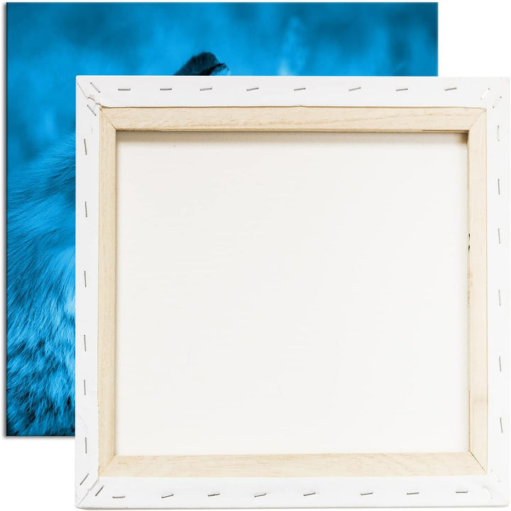 deyoli Kleiner Fuchs im Getreidefeld Format: 70x70 Effekt: Monocrome Blau als Leinwandbild, Motiv fe