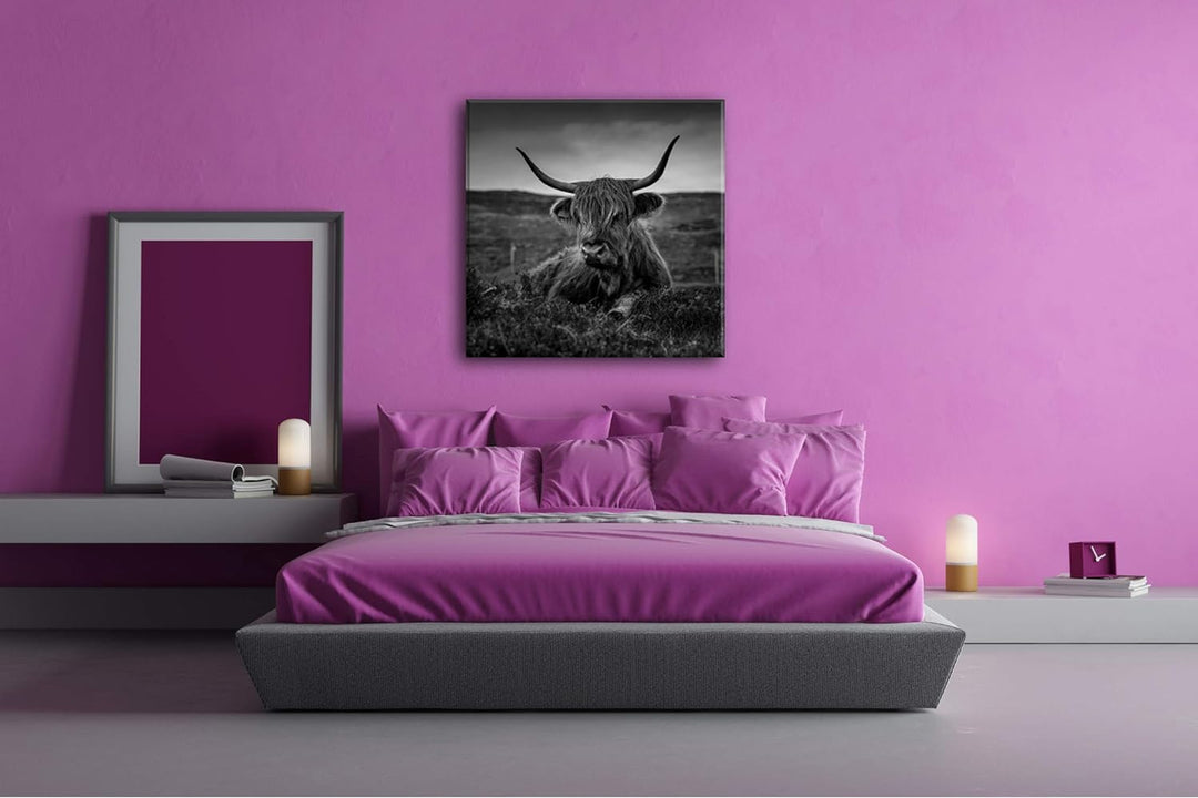deyoli pelziges Rind auf schottischer Landschaft im Format: 60x60 Effekt: Schwarz&Weiss als Leinwand