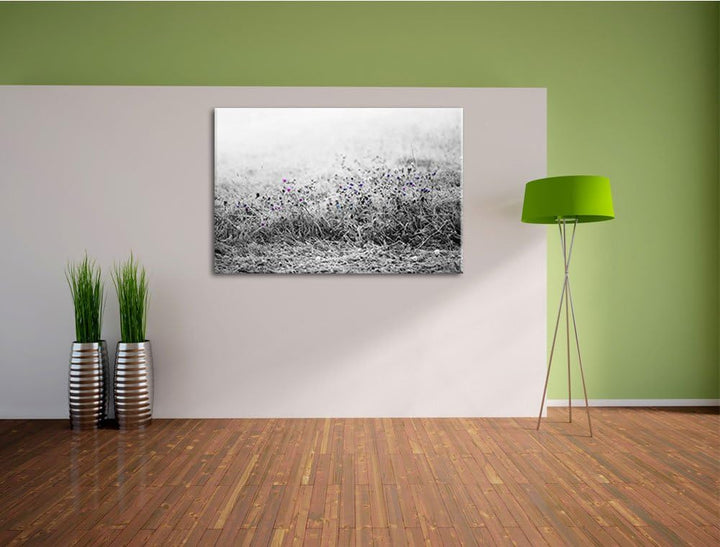 Distel Feld im Retro Look schwarz/weiss Format: 100x70 auf Leinwand, XXL riesige Bilder fertig gerah