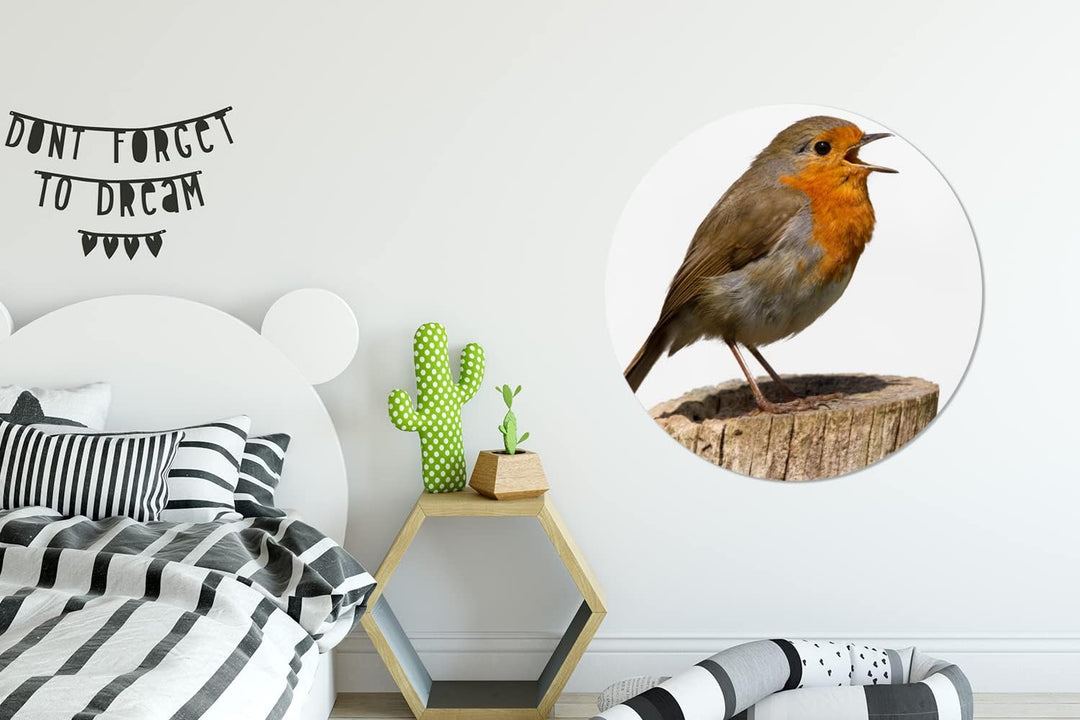 MuchoWow Wandbild Rund Wanddeko Deko Wohnzimmer Bilder 90x90 cm Rotkehlchen - Vogel - Holz, 90x90 cm