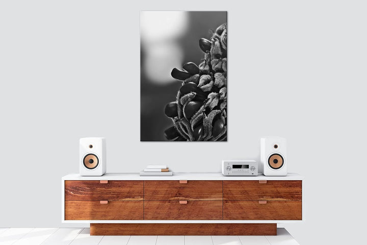 deyoli Südliche Magnolie Stierbucht Format: 80x60 Effekt: Schwarz&Weiss als Leinwandbild, Motiv fert