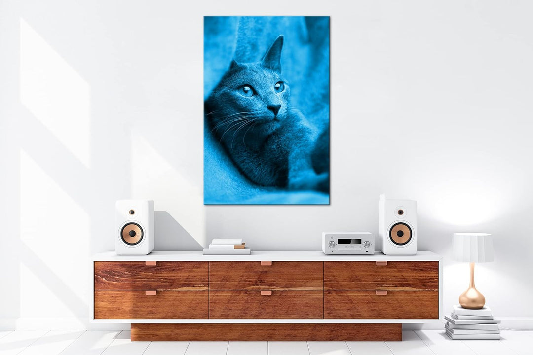 deyoli süsse Katze mit Grünen Augen Format 80x60 Effekt: Monocrome Blau als Leinwandbild, Motiv fert