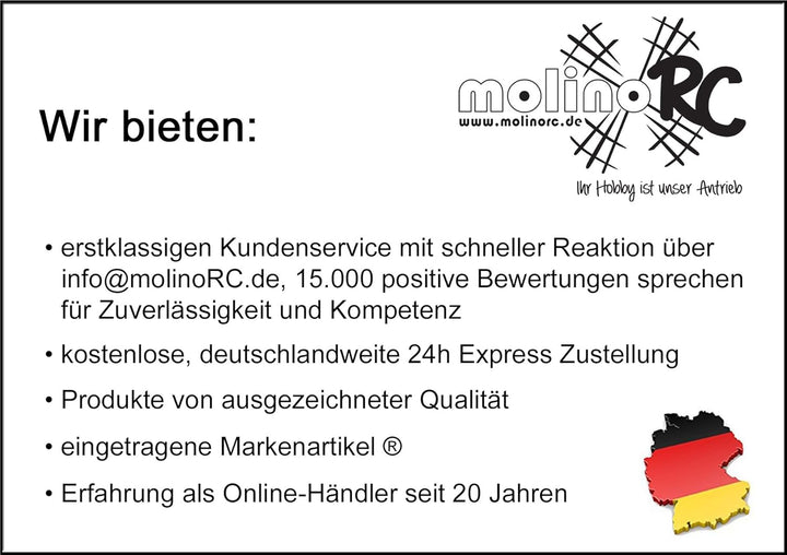 molinoRC | Vogelscheuche | Vogelschreck | Raubvogel-Drache | Vogel | Habicht | Vogeldrachen | mit ho