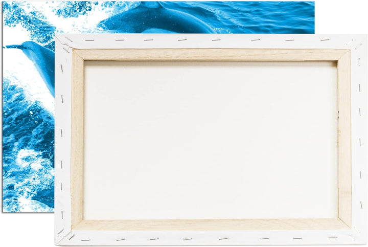 deyoli Verspieltes Delphin paar Format 80x60 Effekt: Monocrome Blau als Leinwandbild, Motiv fertig g