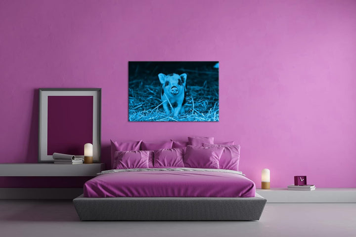 deyoli niedliches Ferkel Format 80x60 Effekt: Monocrome Blau als Leinwandbild, Motiv fertig gerahmt