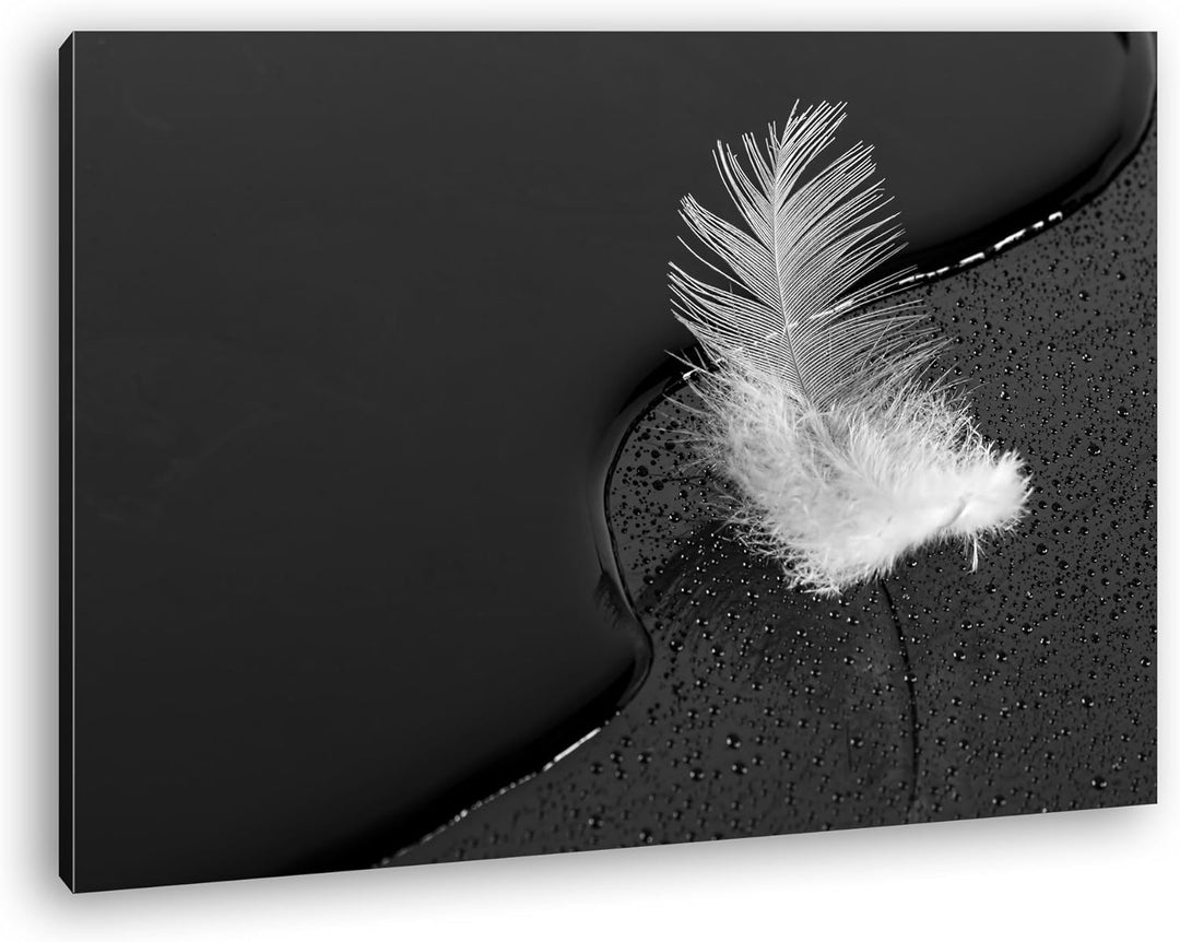 deyoli schöne Feder mit Wassertropfen Effekt: Schwarz/Weiss im Format: 60x40 als Leinwandbild, Motiv