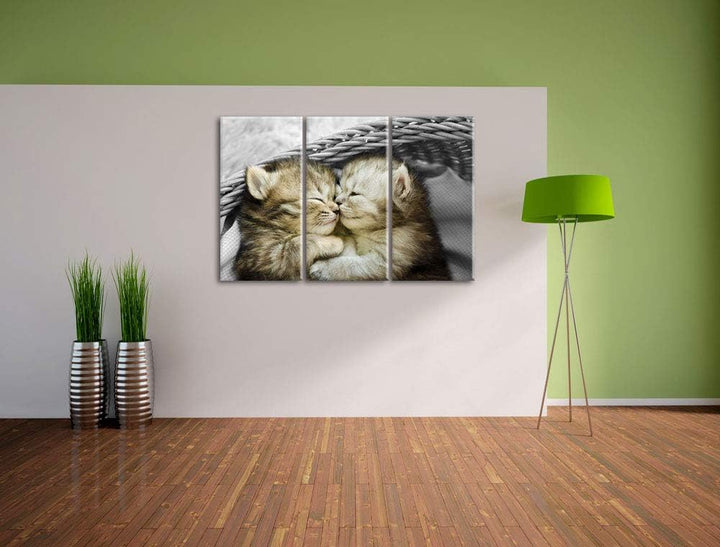 Pixxprint Zwei süsse Babykatzen im Korb als Leinwandbild | Grösse: 3 Teilig (120x80) | Wandbild| Kun