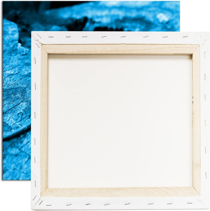 deyoli winzige Eidechse auf einem Baumstamm Format: 70x70 Effekt: Monocrome Blau als Leinwandbild, M