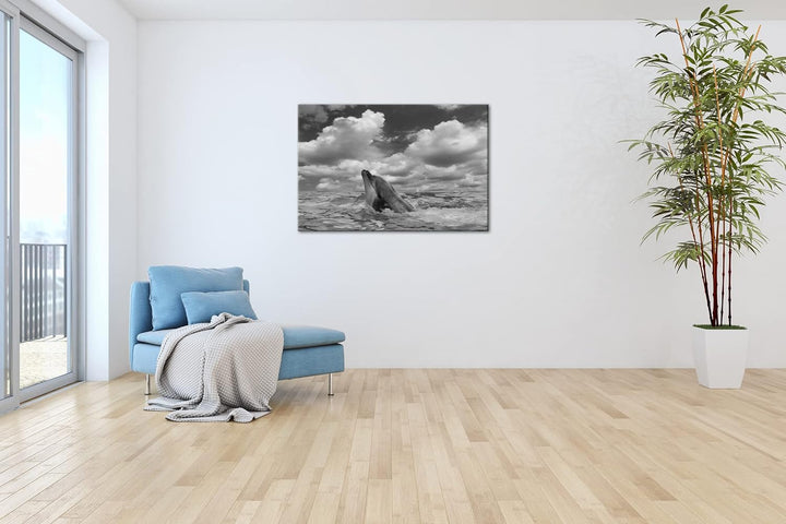 deyoli zauberhafter Delfin Effekt: Schwarz&Weiss Format: 80x60 als Leinwandbild, Motiv fertig gerahm