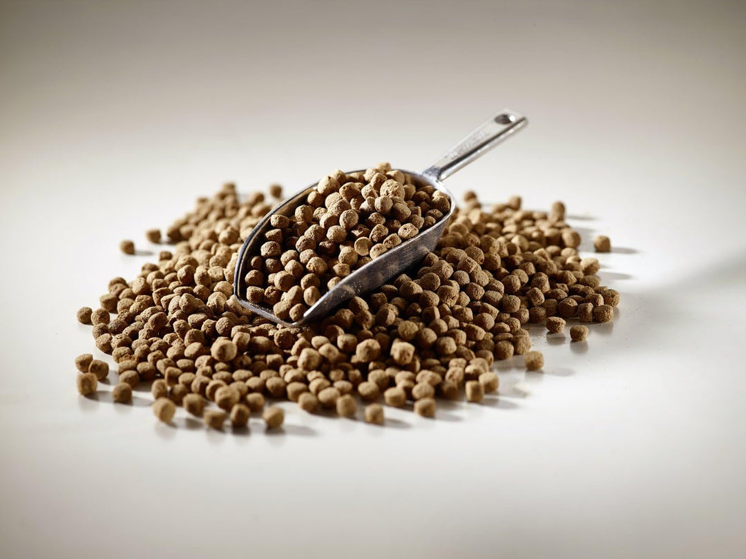 alpha Koifutter Complete 4kg - 3 mm - koinutrition one Step Ahead - Schwimmfutter Ganzjahresfutter f