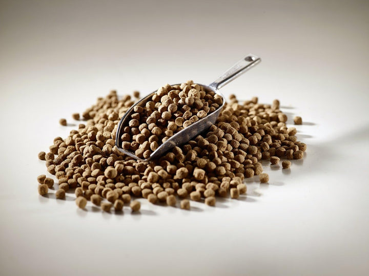 alpha Koifutter Complete 4kg - 3 mm - koinutrition one Step Ahead - Schwimmfutter Ganzjahresfutter f