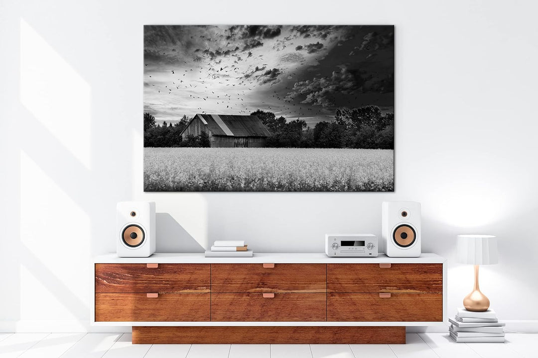 deyoli Scheune am blühendem Feld Effekt: Schwarz&Weiss Format: 100x70 als Leinwandbild, Motiv fertig