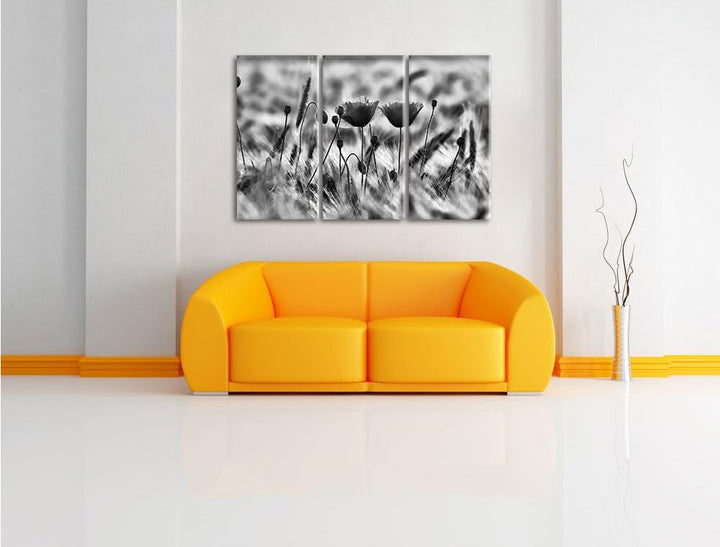 Pixxprint Zwei schöne Mohnblumen als Leinwandbild/Grösse: 3 Teilig (120x80) cm/Wandbild/Kunstdruck/f
