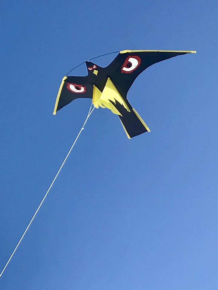 molinoRC | Vogelscheuche | Vogelschreck | Raubvogel-Drache | Vogel | Habicht | Vogeldrachen | mit ho