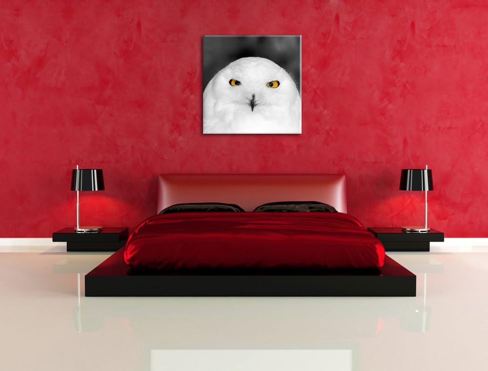 Prächtige schneeweisse Eule Schwarz/Weiss, Format: 70x70 auf Leinwand, 70x70