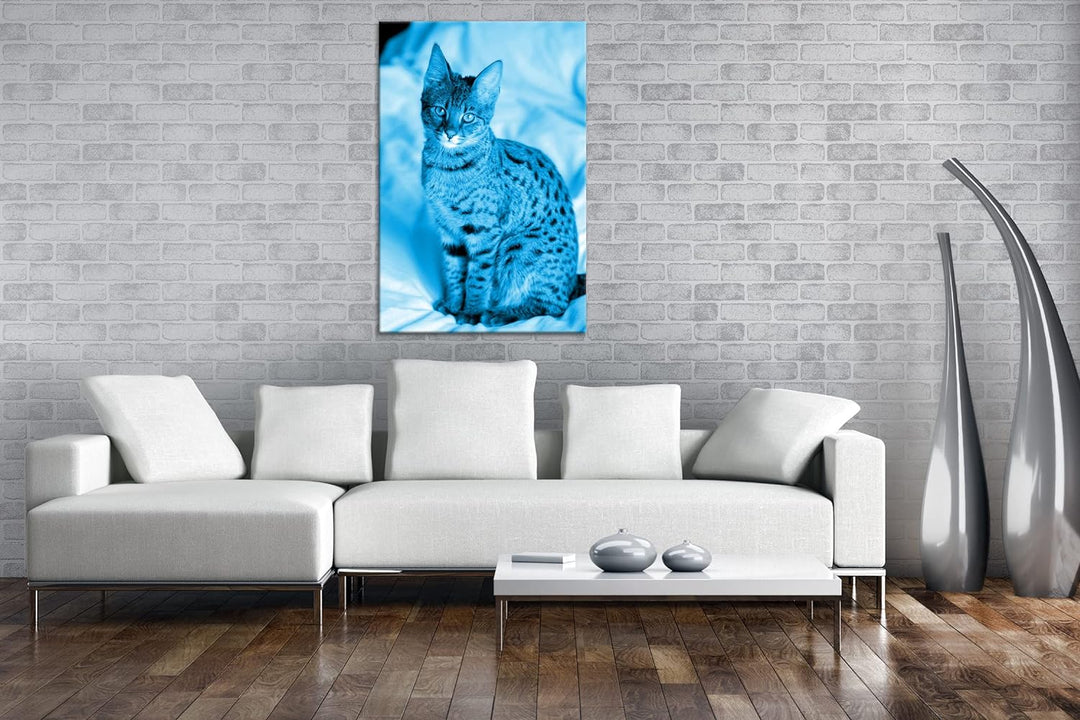 deyoli süsse Savannah Katze Format 80x60 Effekt: Monocrome Blau als Leinwandbild, Motiv fertig gerah