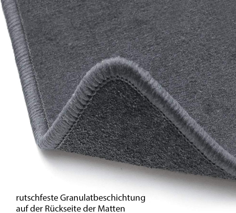 Bär-AfC Auto Fussmatten Royal passend für Renault Twingo Typ 2 2007-2014, Autoteppiche Velours Grau,