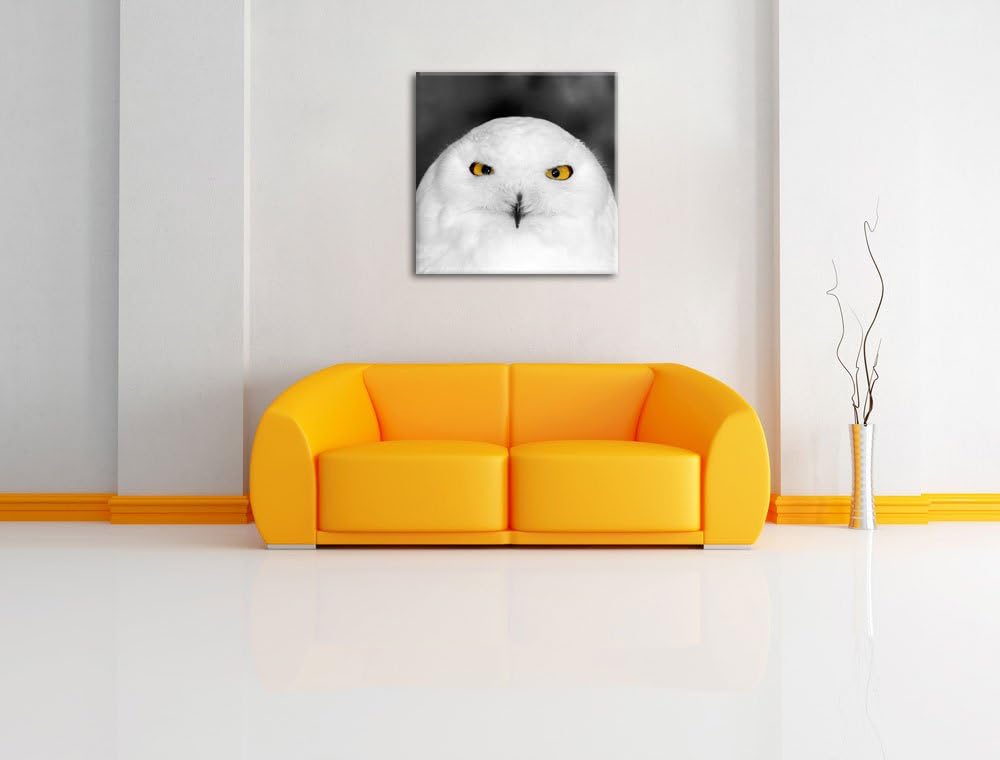 Prächtige schneeweisse Eule Schwarz/Weiss, Format: 70x70 auf Leinwand, 70x70