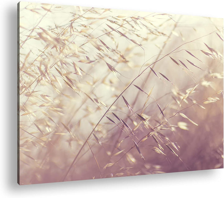 deyoli Wiesengräser Format: 80x60 als Leinwand, Motiv fertig gerahmt auf Echtholzrahmen, Hochwertige